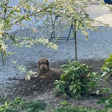 L Hirondelle 3 Bed & Breakfast